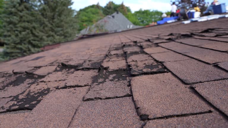 Best Steel Roofing  in Spring Grove, MN